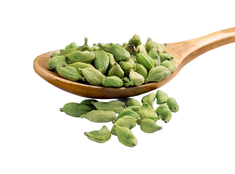 Green Cardamom